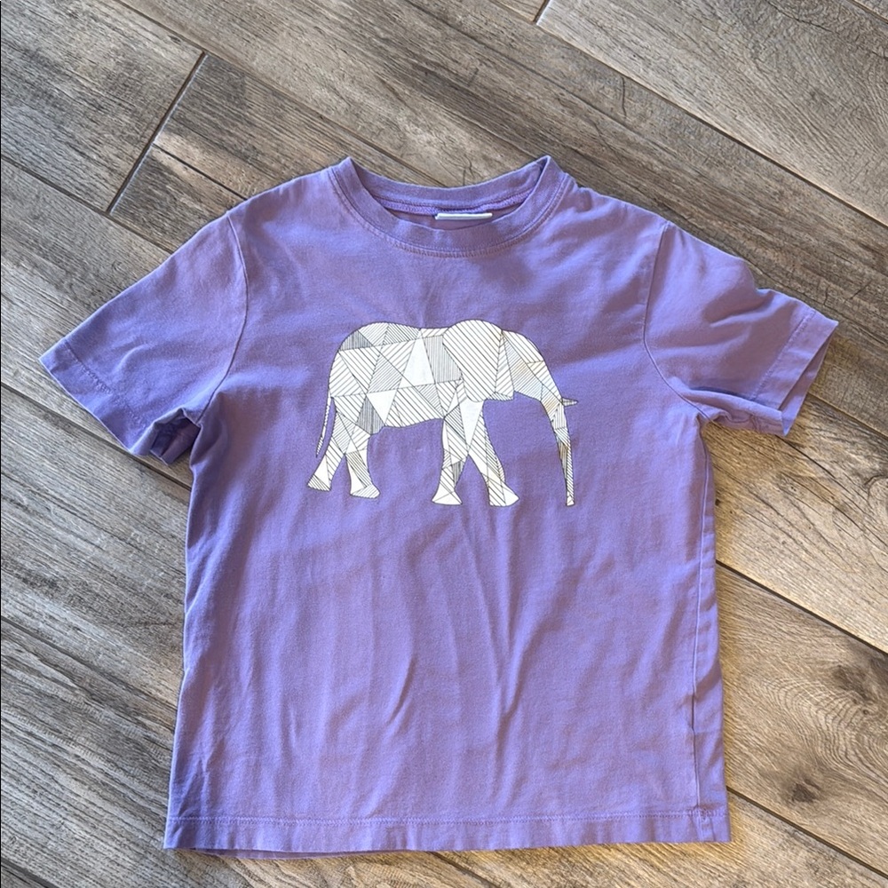 EUC Hanna Andersson t-shirt, sz 8